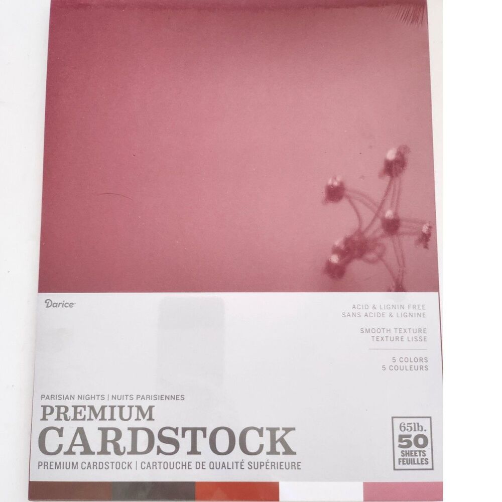 Card Stock 8.5 X 11 NIP 50 Sheets B20